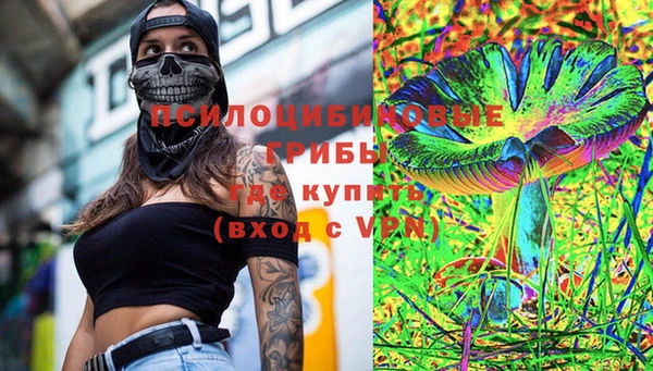 соль ск Алексин