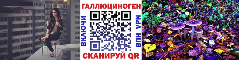 Псилоцибиновые грибы Psilocybe  Цимлянск 